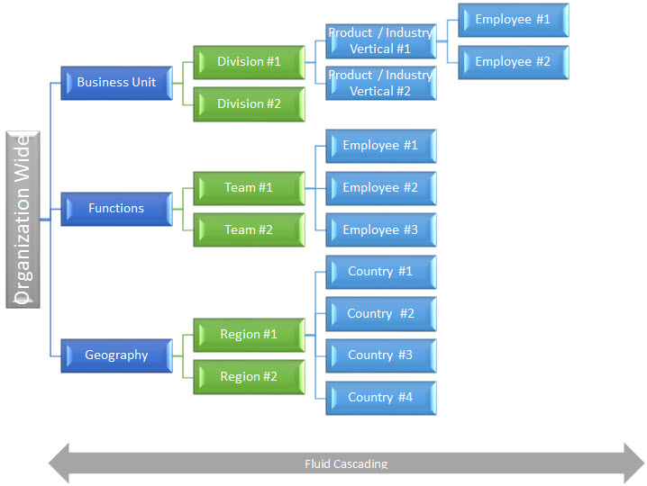 Performance Management & Goal Alignment