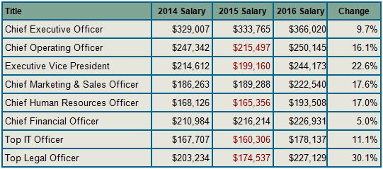 Afford Ideal airplane Executive Salary Survey Data Trends: 2015-2016 | Compensation Data and  Analysis